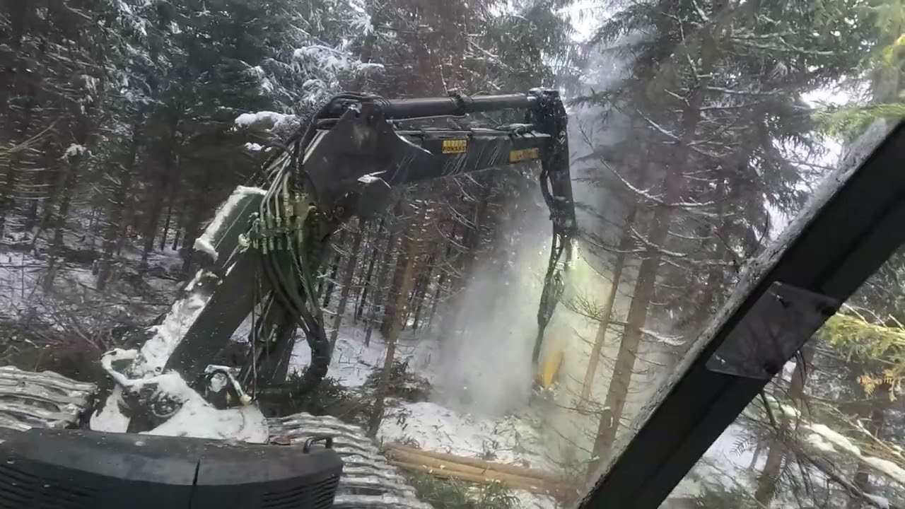 Susijahti, paras uutinen aikoihin