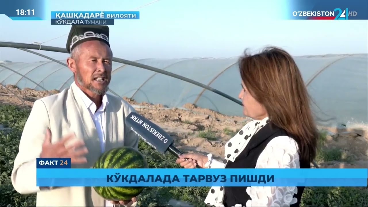 🍉 Кўкдалада тарвуз пишди