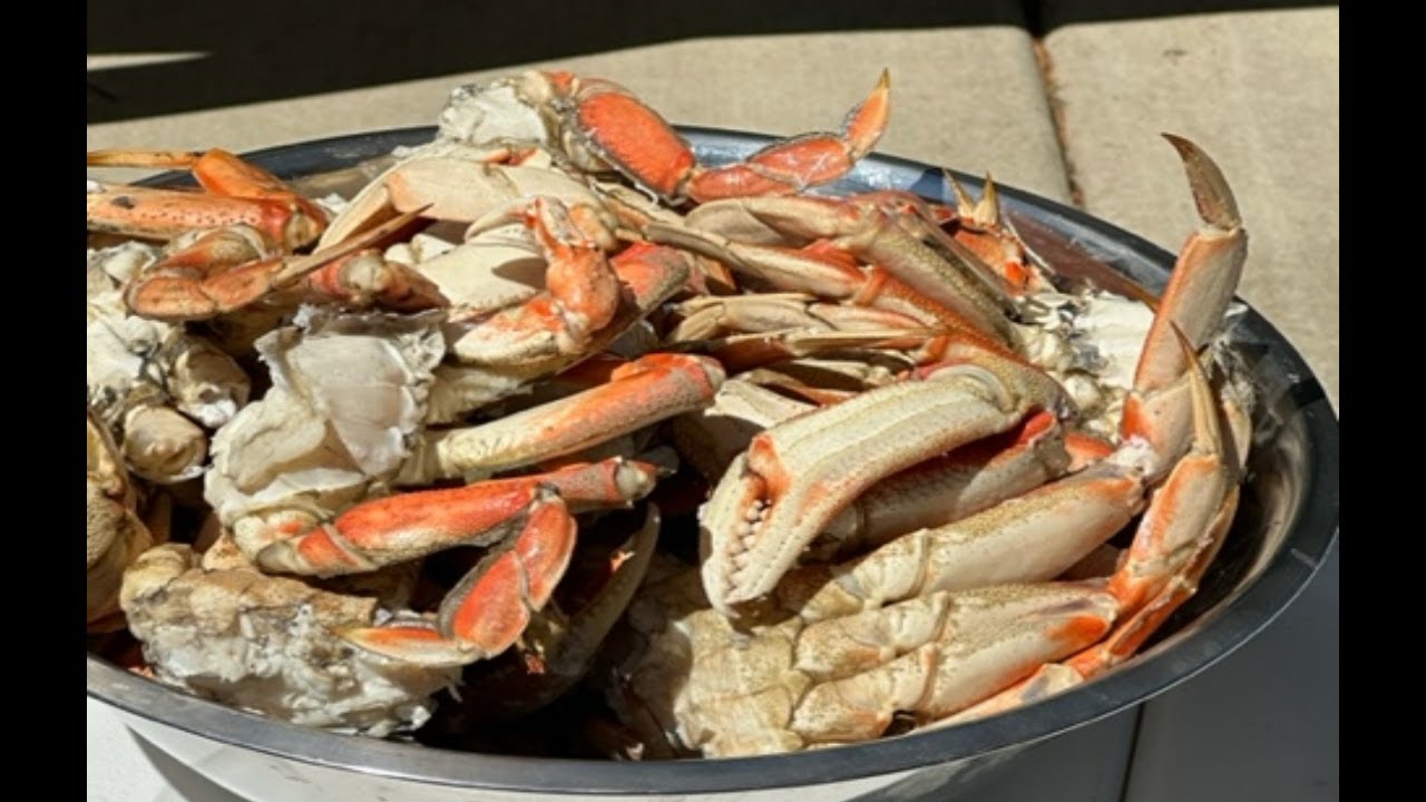Spectacular Dungeness Crabbing (Catch, Clean and Cook)