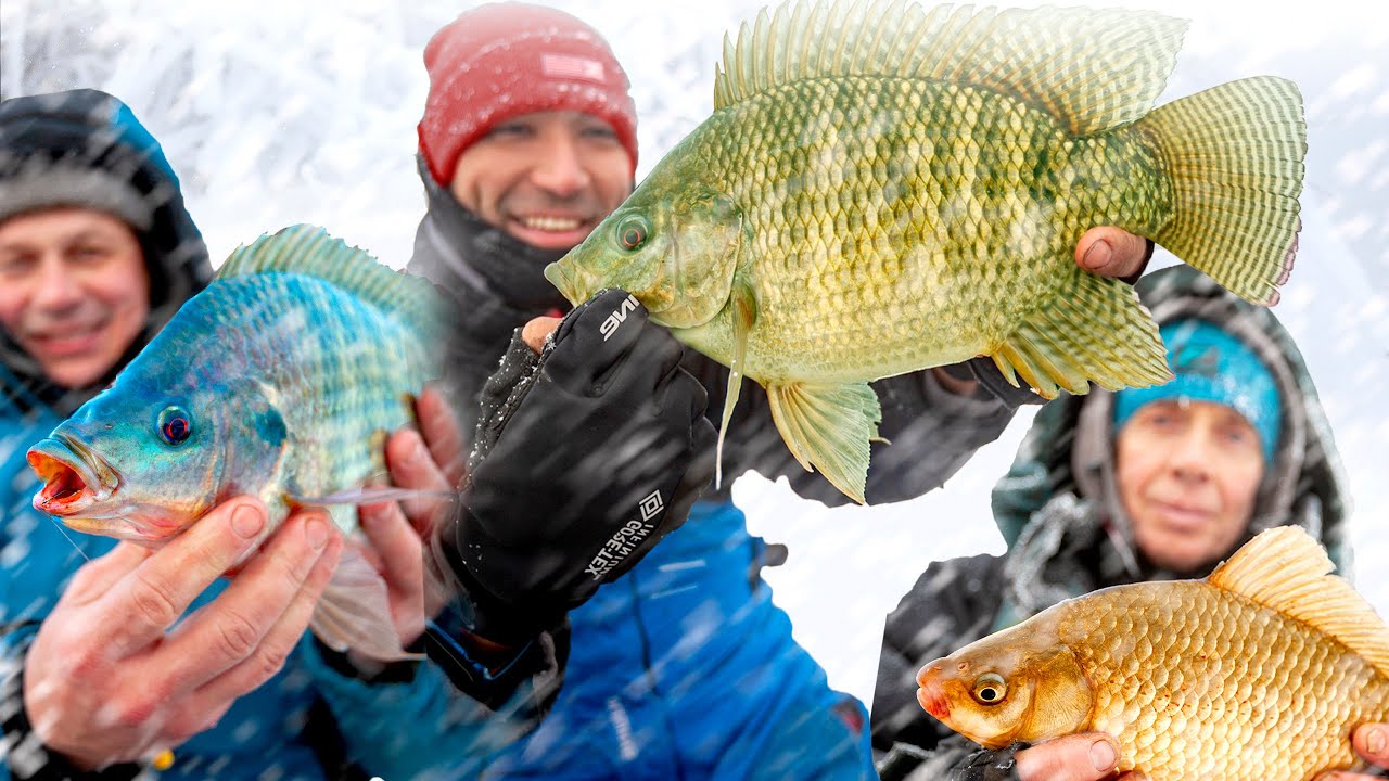 Рыбалка БЕЗ ОШИБОК. Зимний фидер 2021. Такую РЫБАЛКУ ты еще не видел! Feeder Fishing TV Выпуск #61