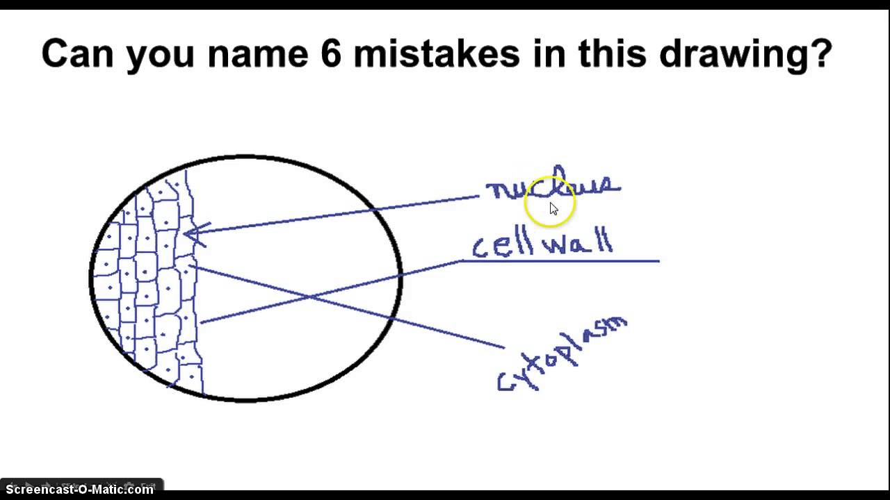 Rules for Scientific drawings