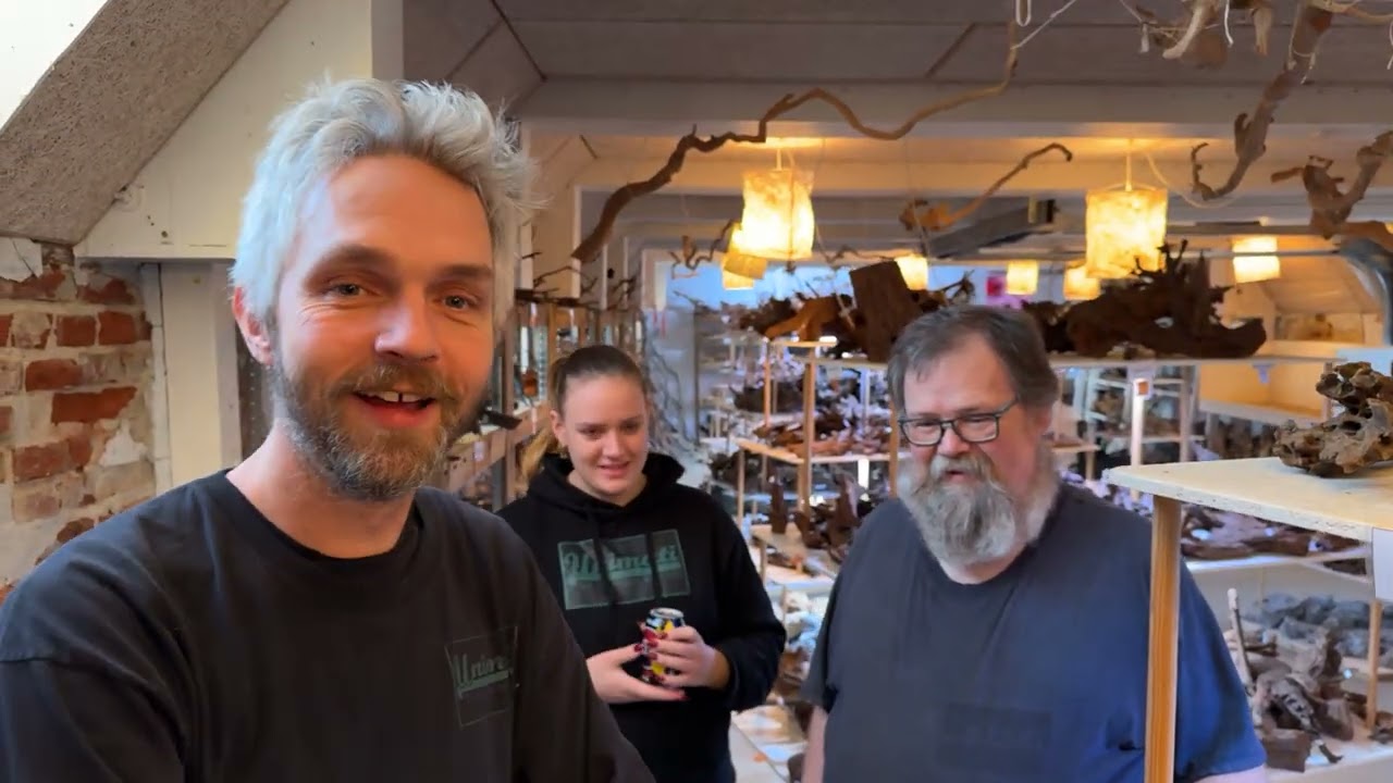 Mandagsfilm - Godt nytår og Akvastabil Element tilbuddet slutter snart!