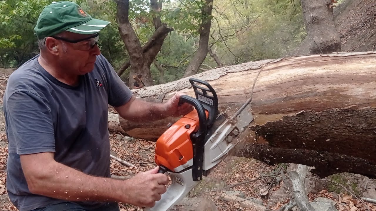 Stihl ms 261...