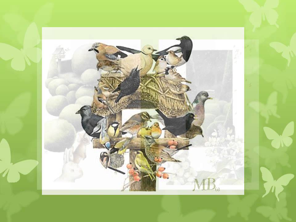 The Art of Marjolein Bastin