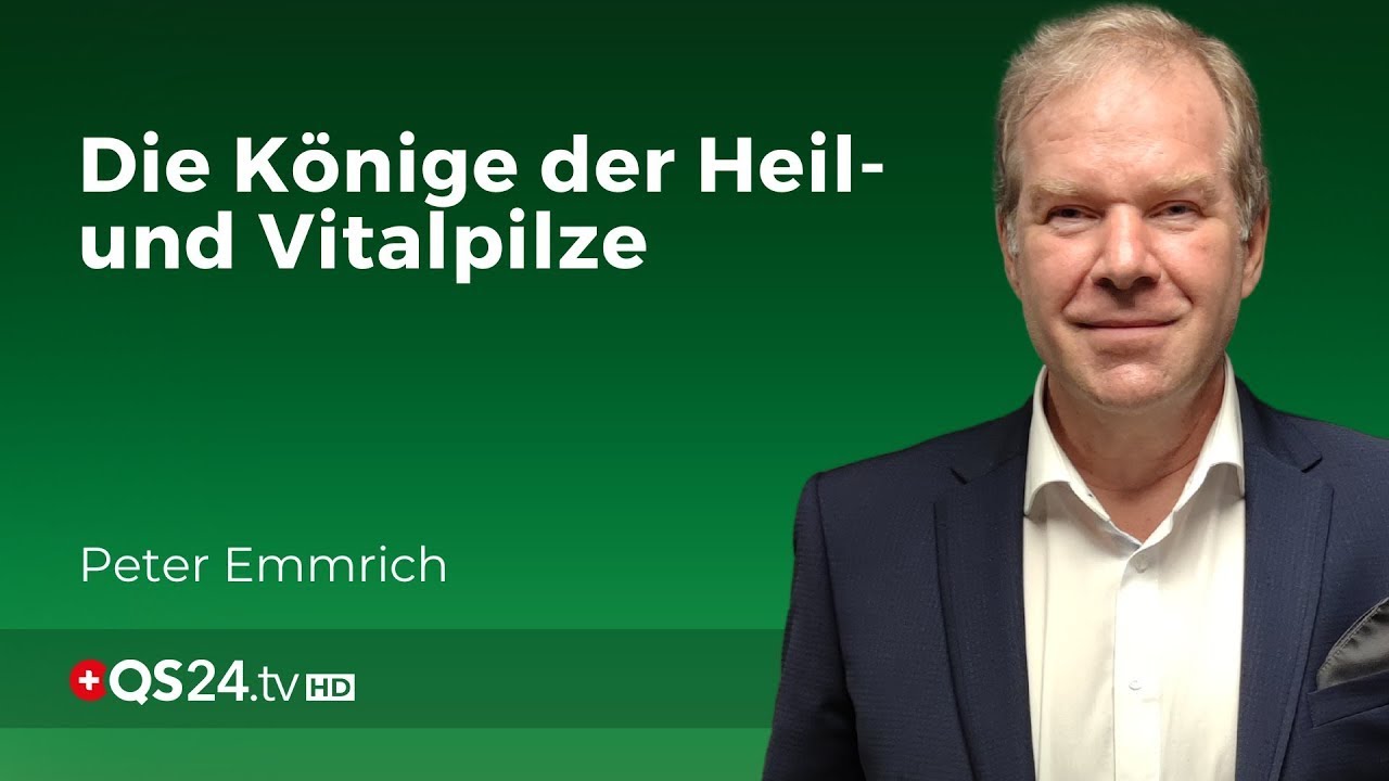 Chaga und Shiitake: Die 2 Könige der Pilze? | Facharzt Peter Emmrich | Naturmedizin | QS24