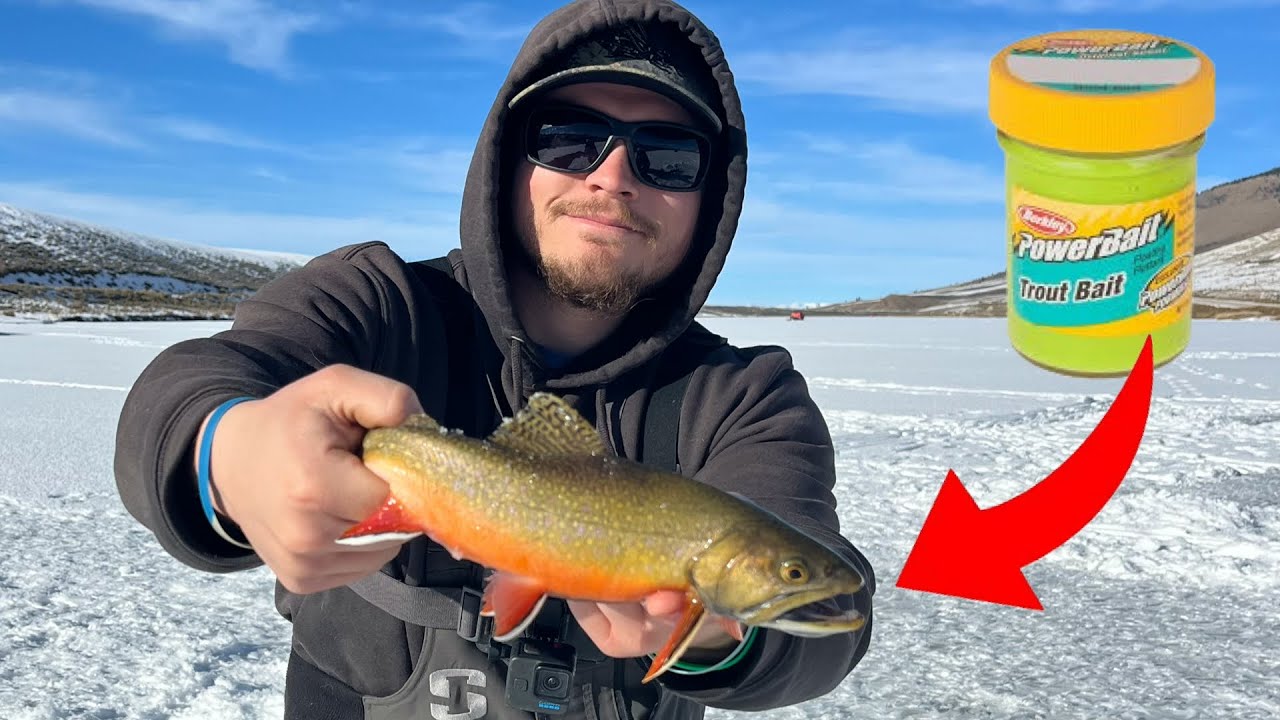 Easiest Way to Catch Stocked Trout!