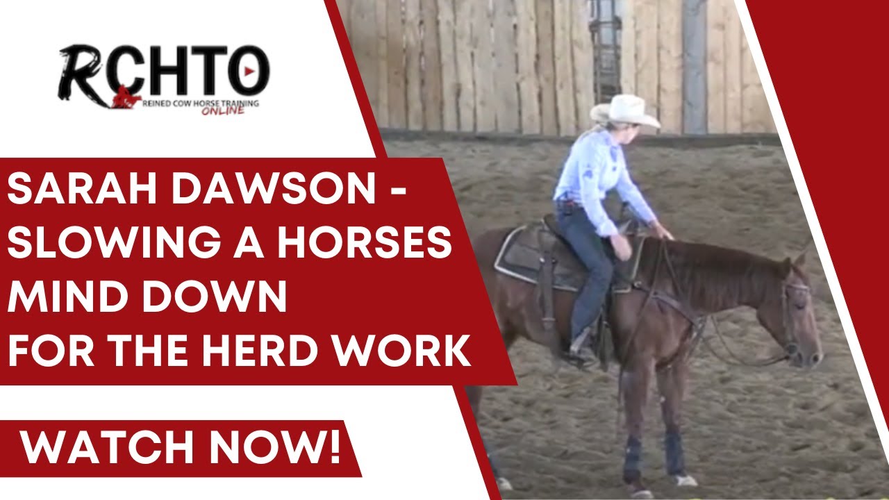 Sarah Dawson - Slowing A Horses Mind Down For The Herd Work