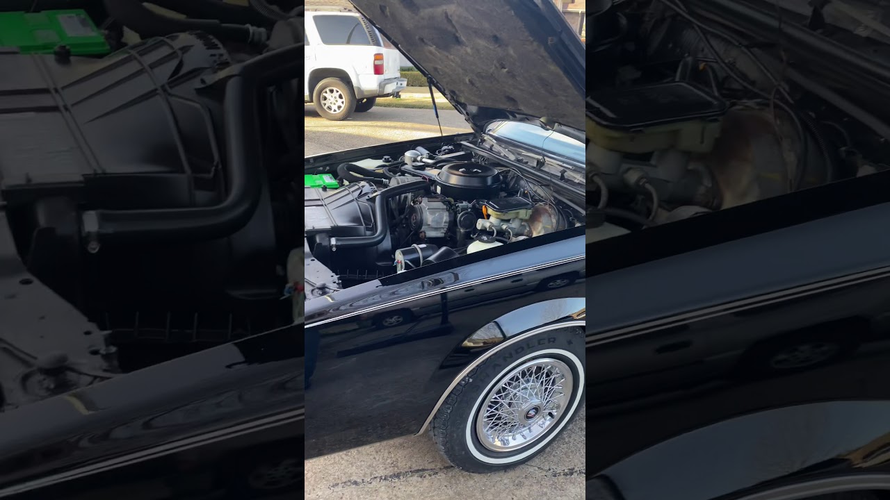 1984 Buick Regal Limited Edition