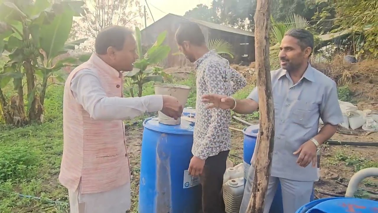प्याज जो जन्मजात निगेटिव होती है,वह TCBT से पॉजिटिव हो गई है,मीठी स्वाद की हो गई है,उपज भी बढ़ी है
