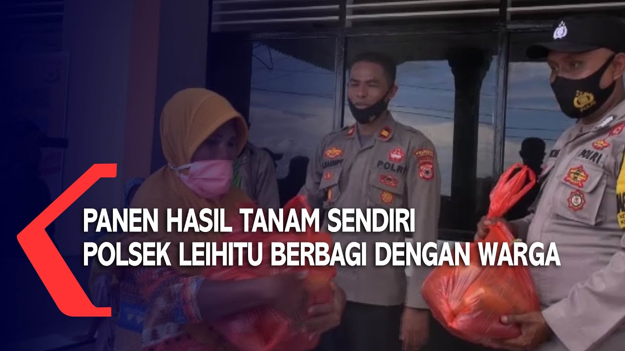 Panen Sayur, Polsek Leihitu Berbagi Dengan Warga