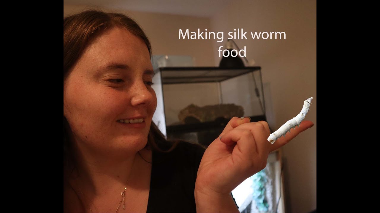 making silk worm food on a hob/stove top