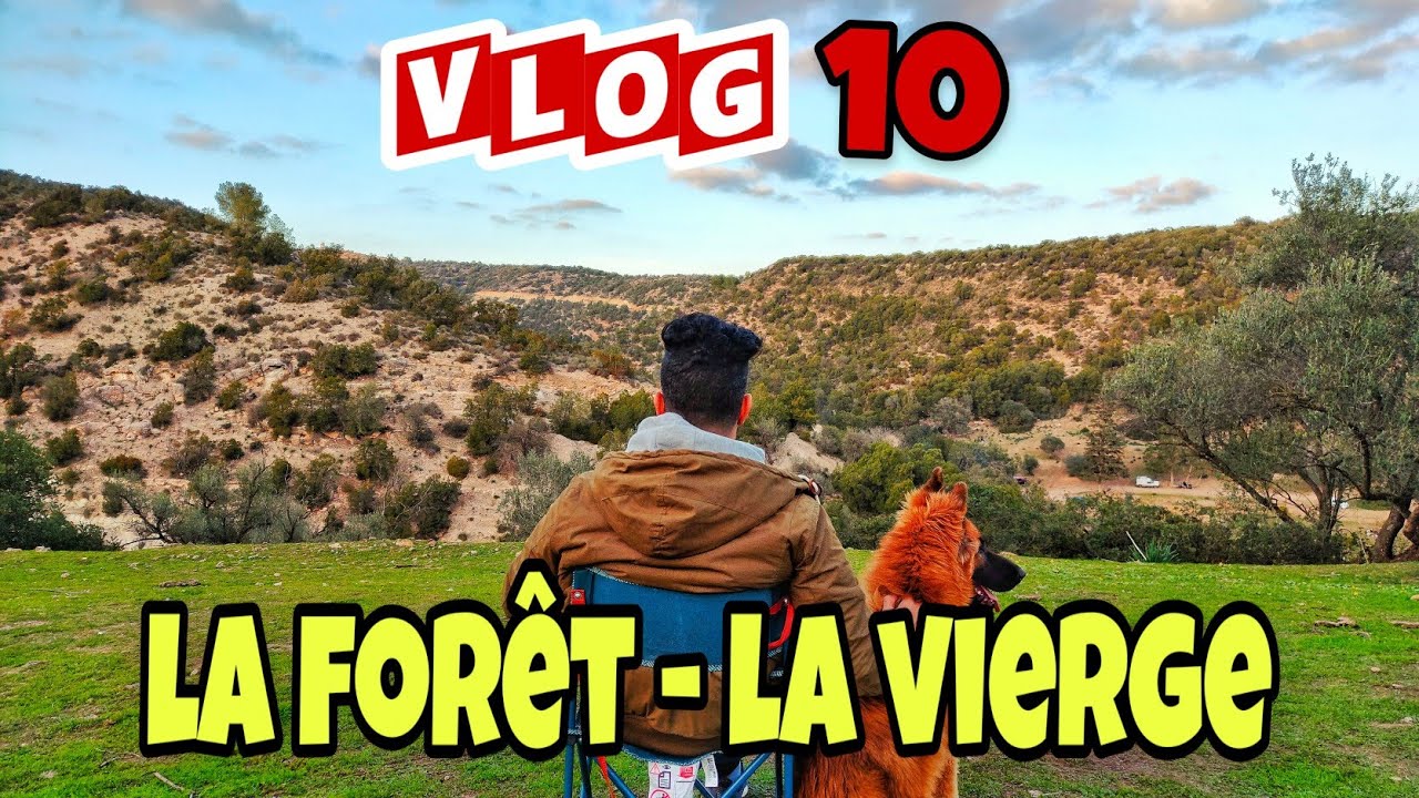 هكذا خيّمنا مع الذئاب 🐺 في غابة العذراء مسرغين/VLOG 10 - Bivouac 🏕️ Forêt  Vierge - Misserghin  Oran