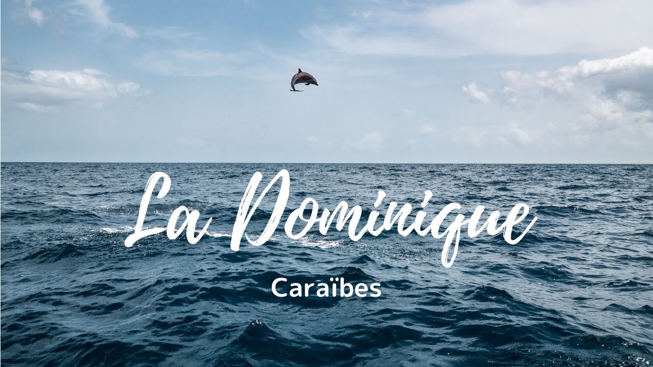 Voyage à la Dominique - séjour pleine nature