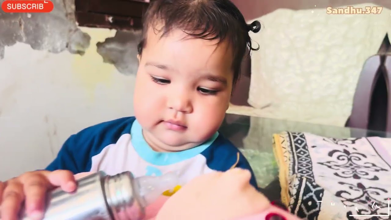 ਜੰਗ ਸ਼ੁਰੂ ਸਾਡੇ ਪਿੰਡ ਦੀ ਬਾਂਦਰਾ ਨਾਲ / #trending #viralvideo #pindvlog 