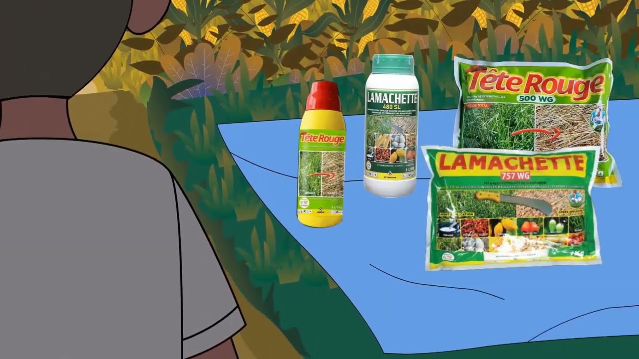 LES MEILLEURES SOLUTIONS POUR UN DÉSHERBAGE RAPIDE ET TOTAL