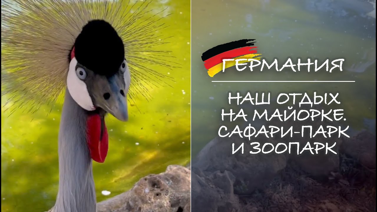 ГЕРМАНИЯ. Наш отдых на Майорке. Сафари-парк с зоопарком