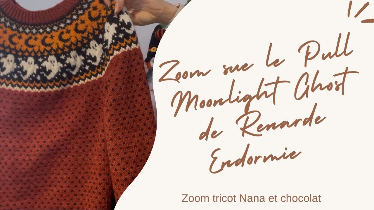 Zoom tricot, j'ai tricoté un pull d'Automne 🍁🍁🍄🍄 : le Moonlight Ghost de Renarde Endormie 👻