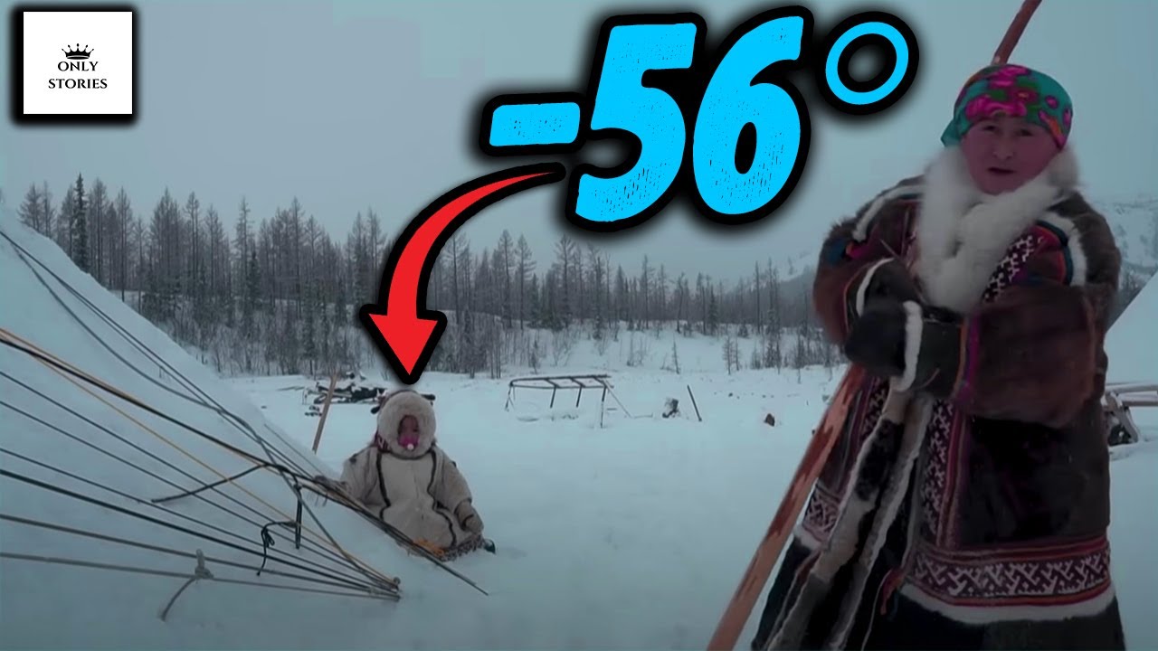 Nenets Nomads in the Ural Mountains: Extreme Survival in Russia's Frozen North