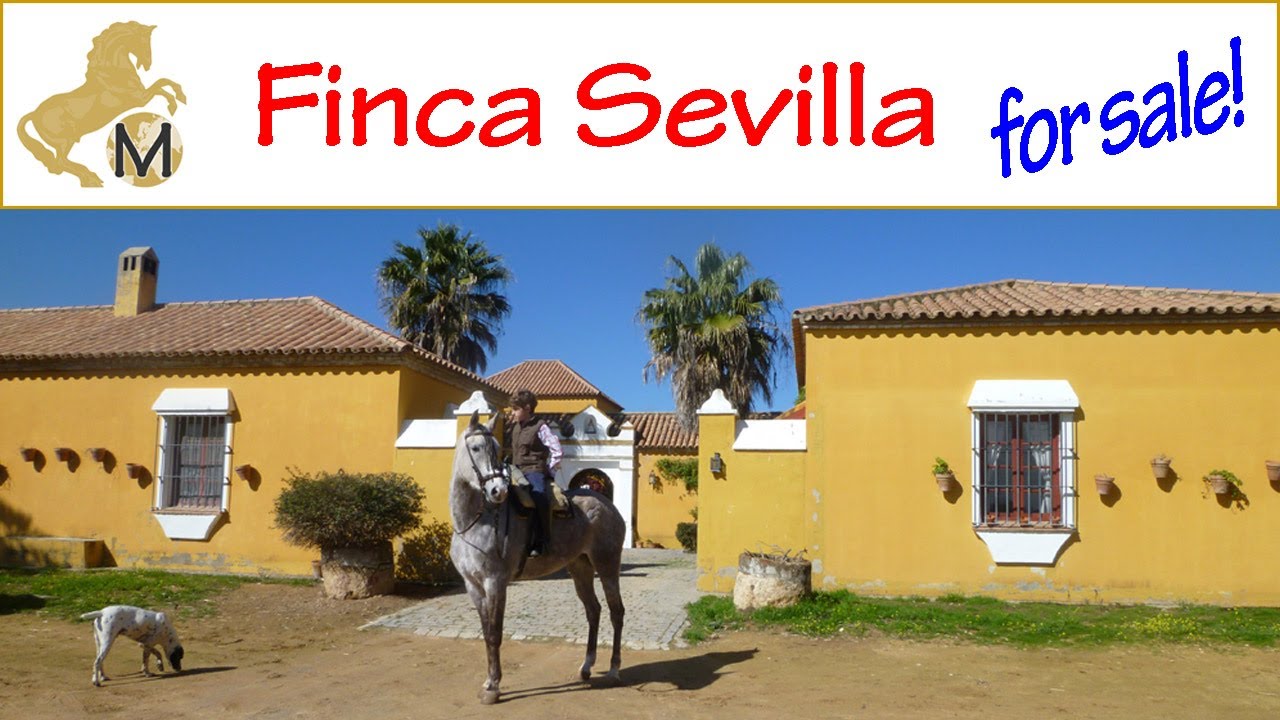 Sold: Finca con Cortijo y 70 hectares cerca Sevilla