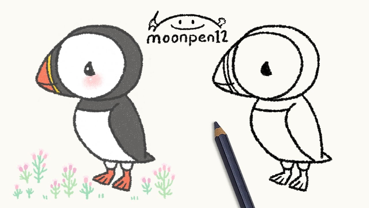 puffin drawing