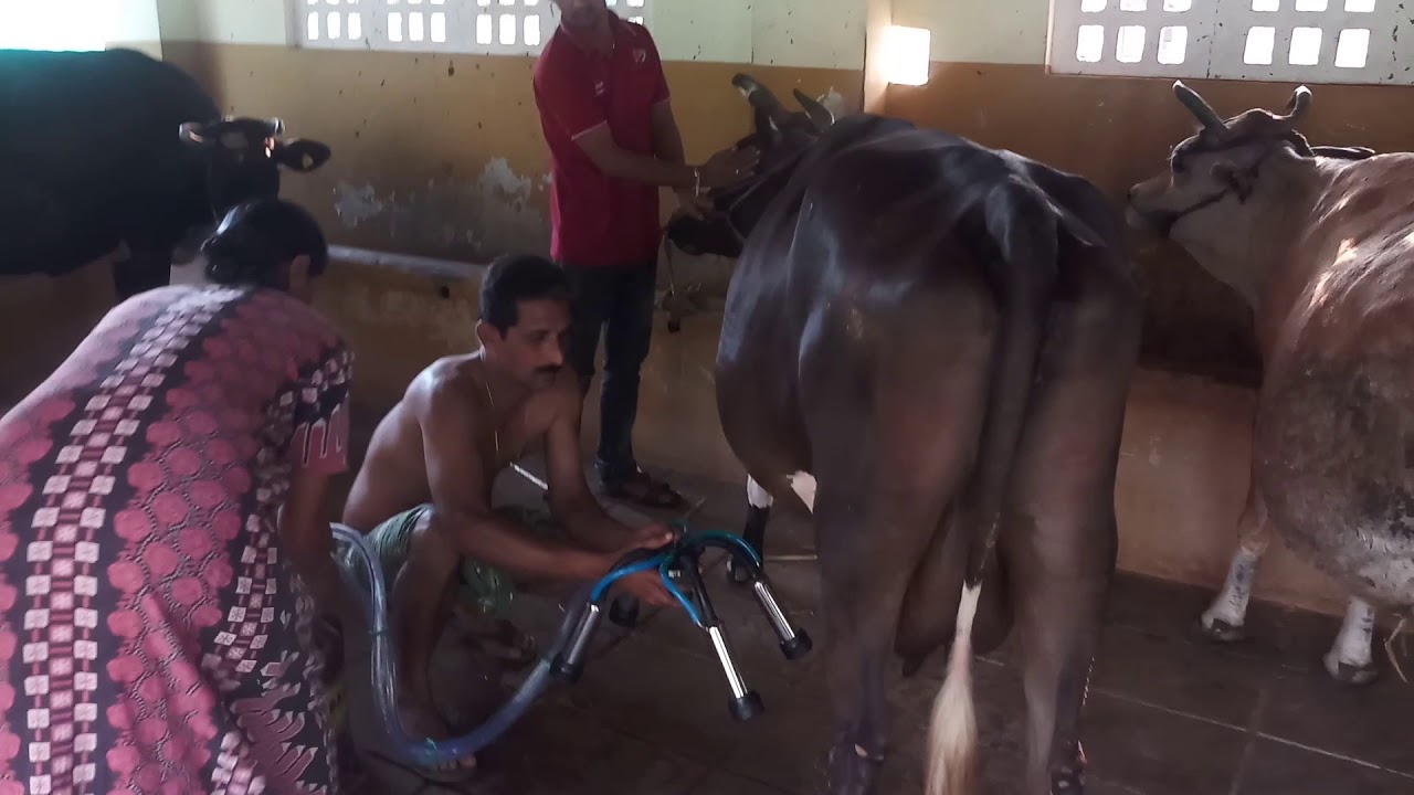 Milking machine with engine in Tamilnadu Shreem dairy equipment's