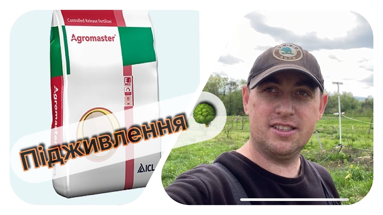 Підживлення фундука . Добрива Агромастер  , та Яра Мілла 👌