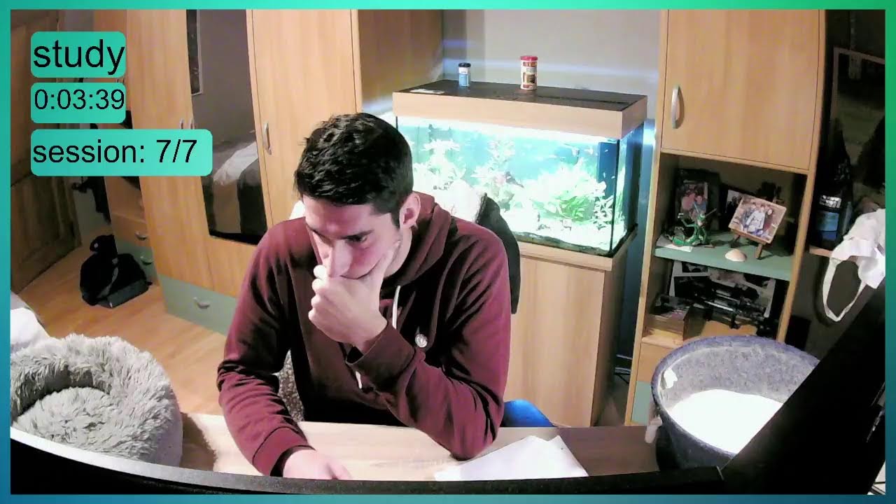 Study with me | 7+ Hours | 60-10 Pomodoro