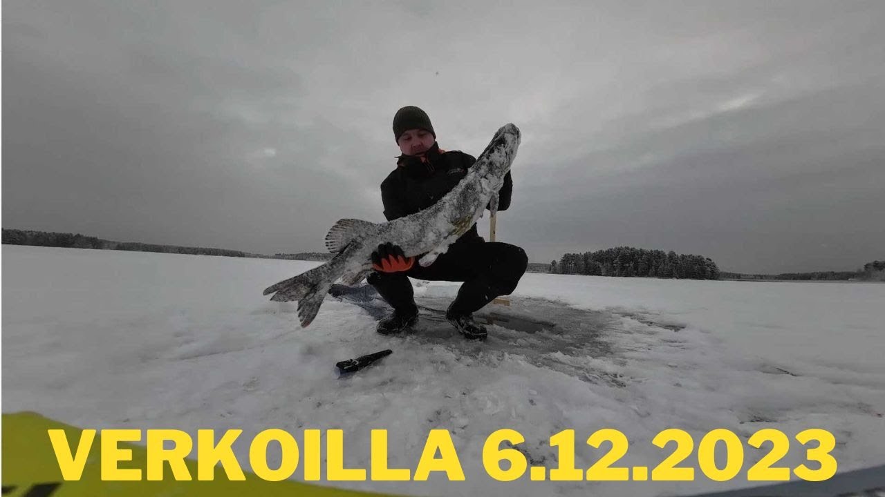 Talviverkoilla 61