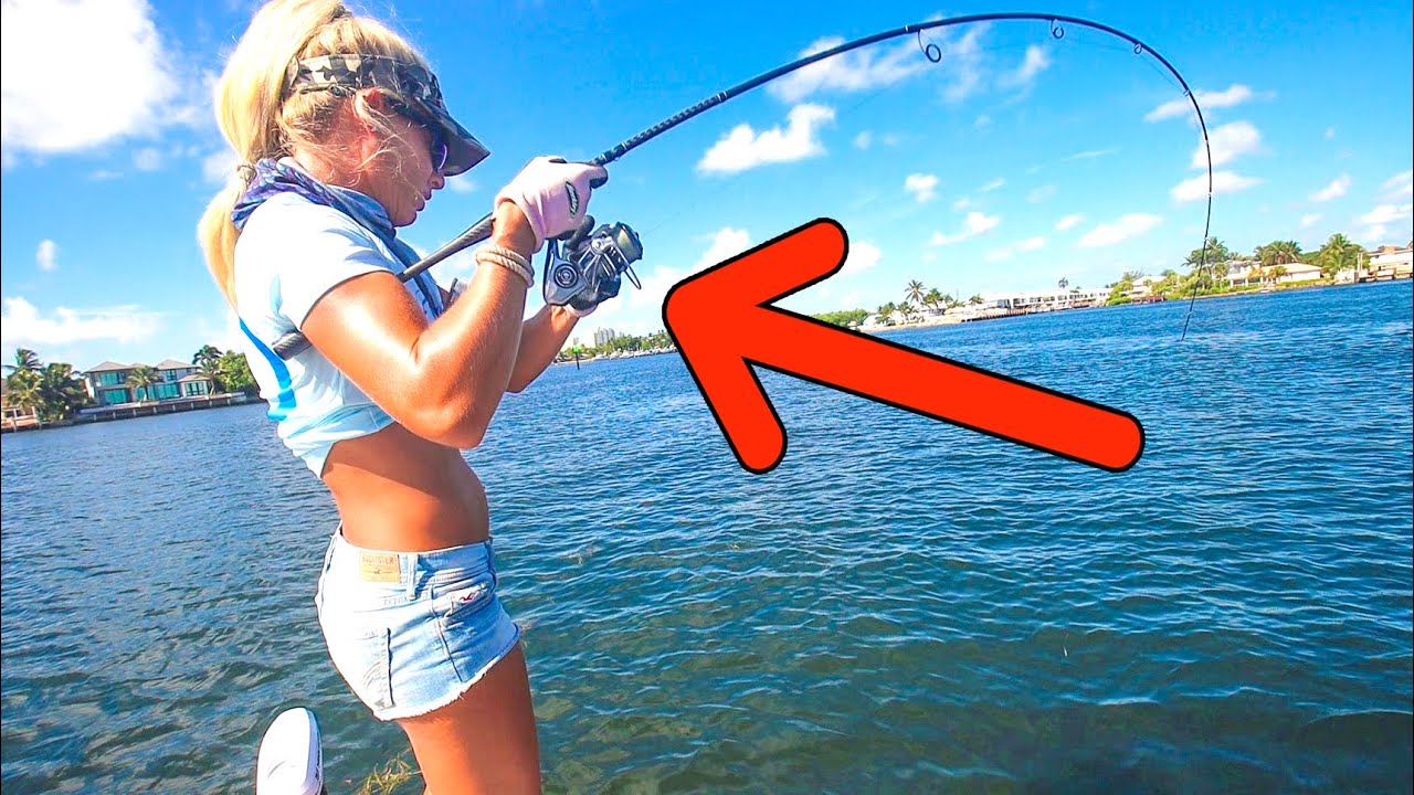 Едим ВСЁ, ЧТО поймаем! Видео &laquo;Поймай и приготовь&raquo; от Florida (Bluetti Apex 300)