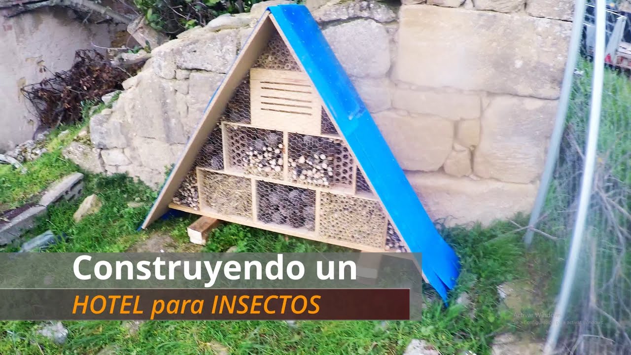 Construyendo un Hotel para insectos