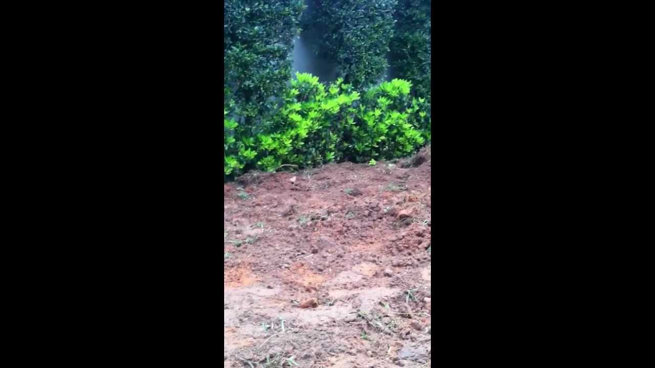 הכנת השטח להתקנת דשא סינטטי- ירוק ישראלי: 050-9090770