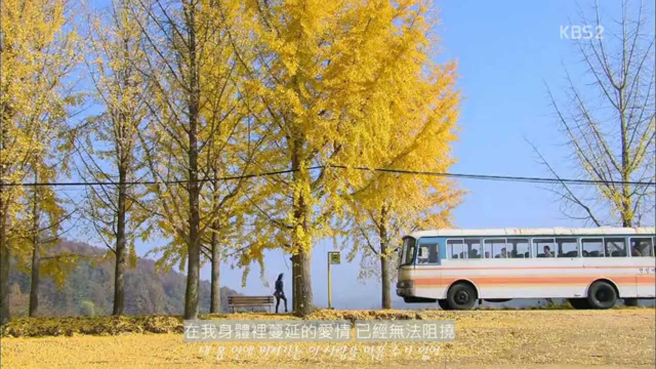 [FMV]Navi -  不治之症 中韓字幕(秘密 OST  PART.1)