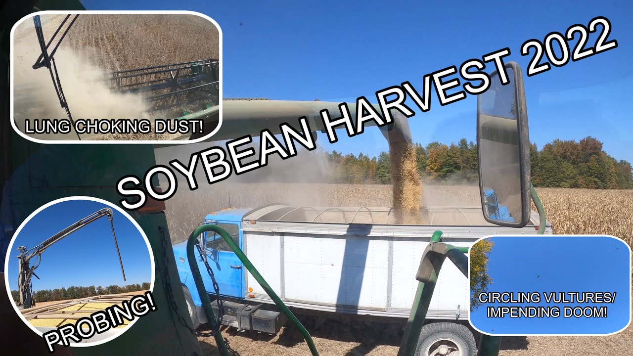 Soybean Harvest Day 1 2022