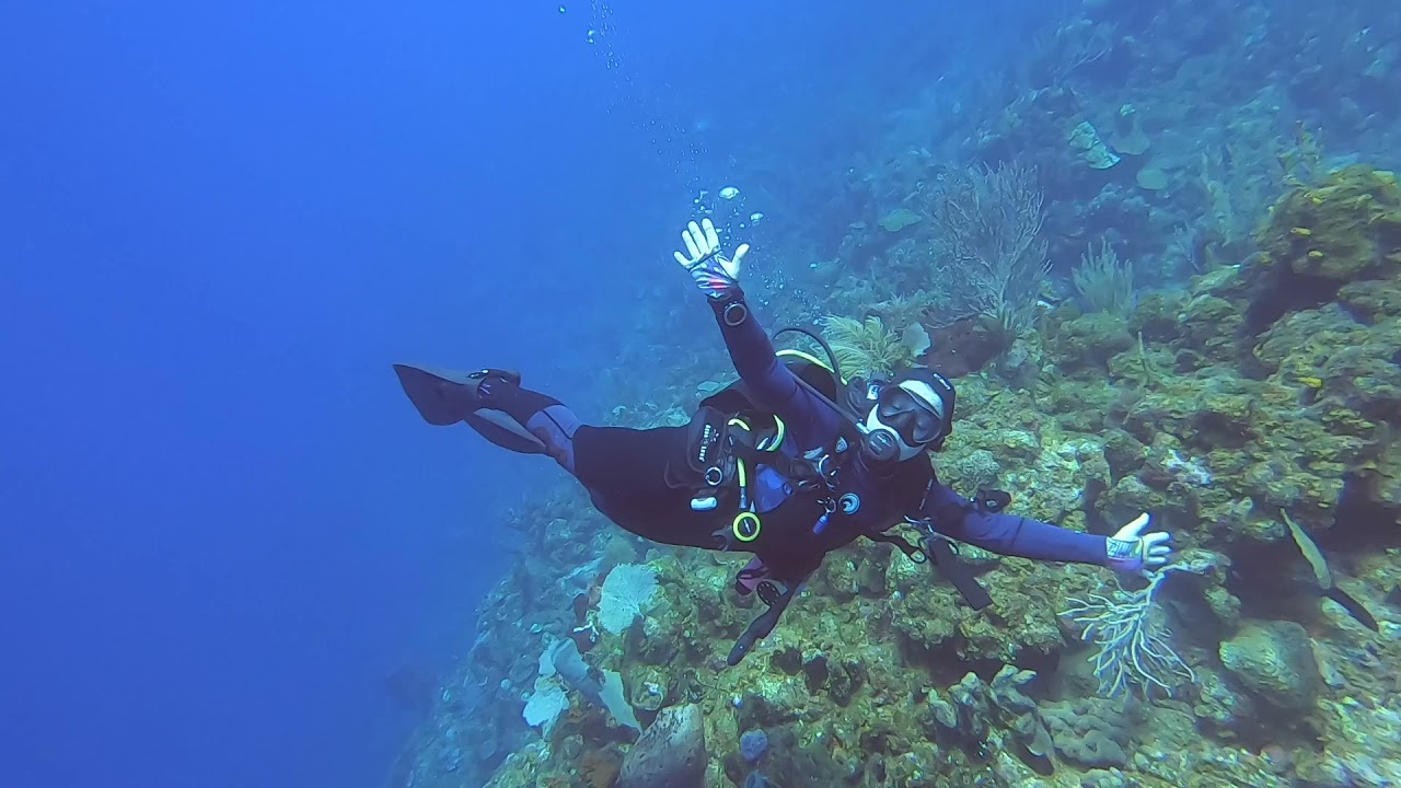 Scuba Diving Fish Den Roatan GoPro