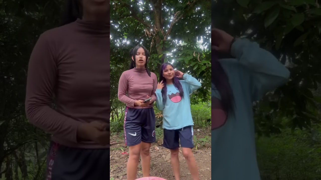 Hoy vamos a trepar árboles 