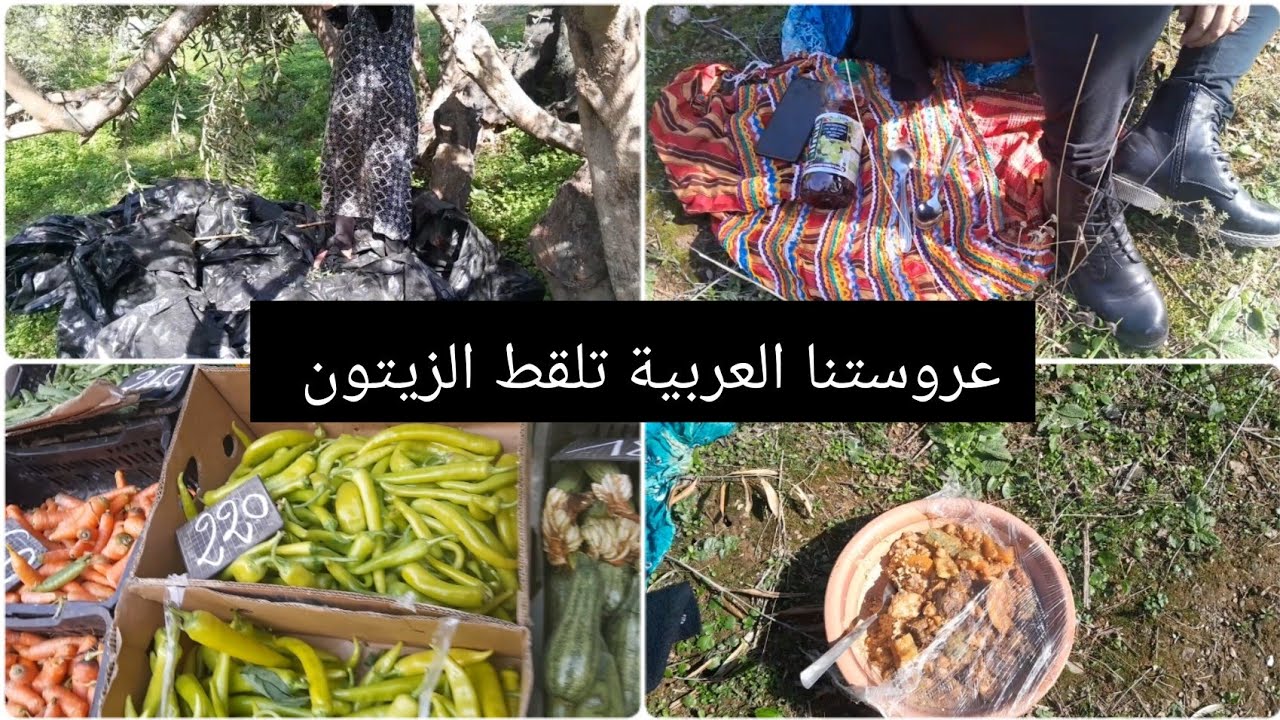 القبائلية  والعربية في champs  وفي الخرجة والحمد لله على النعمة