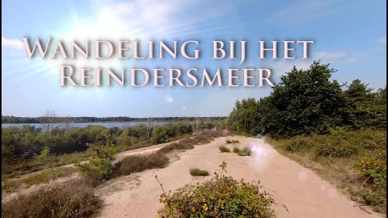 Wandelen bij het Reindersmeer in de Maasduinen