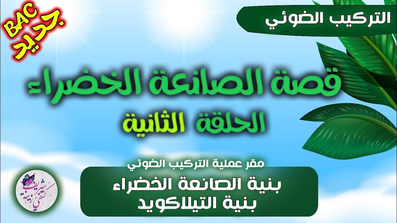 عدنا لنبحر ⛵في أعماق الصانعة الخضراء☘️الحلقة 2 من التركيب الضوئي+ أفكار التماريييييين 🔥بكالوريا