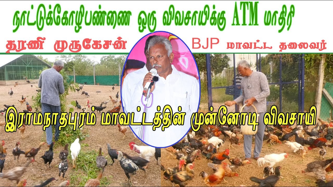 நாட்டுக்🐓கோழிப்பண்ணை 🐓 ஒரு விவசாயிக்கு ATM மாதிரி இராமநாதபுரம் மாவட்டத்தின் முன்னோடி விவசாயி
