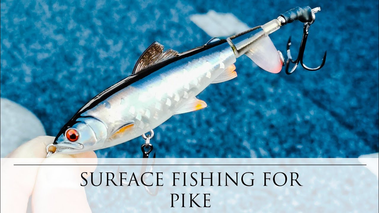 Surface fishing for Pike in Ireland