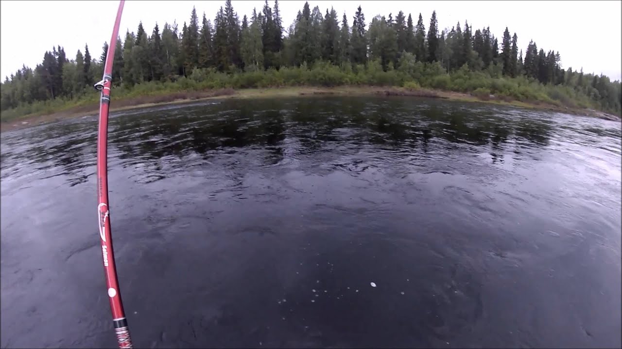 tornionjoki 6,2kg 18.6 2015