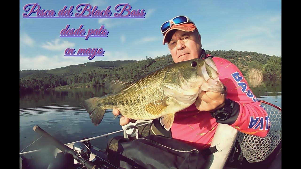 PESCA DEL BLACK BASS EN MAYO