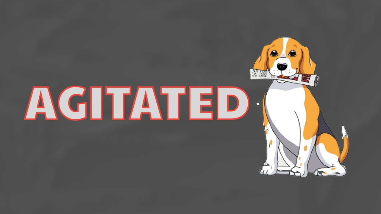 What Does AGITATED Means || Meanings And Definitions With Example in ENGLISH .