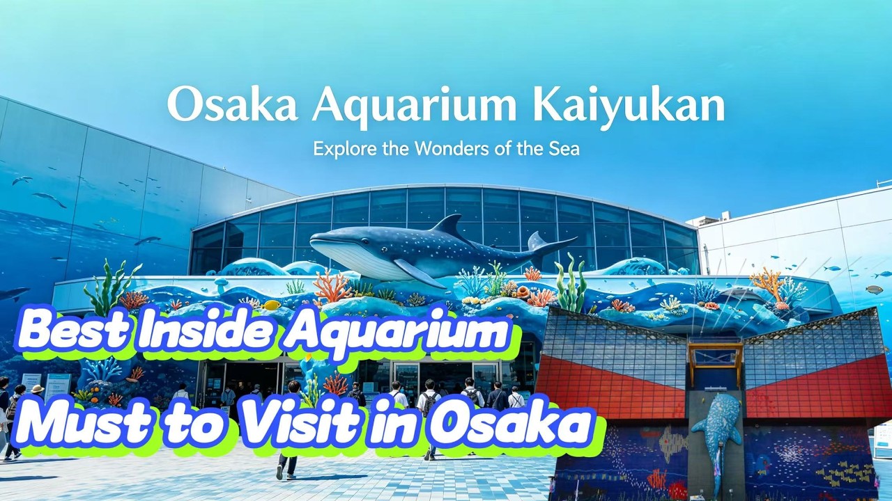 How to spend One Day in Osaka | OSAKA AQUARIUM KAIYUKAN🐋2025 |4K POV| Whale Shark, Dolphin, Penguin