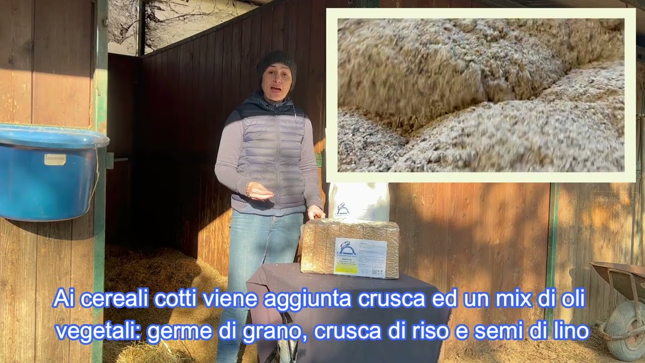 TUTTI I SEGRETI DEL PASTONE