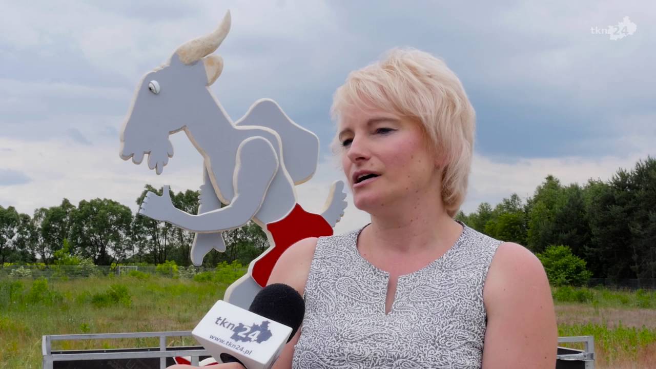 Koziołek Matołek w Szkole Podstawowej w Gowarczowie