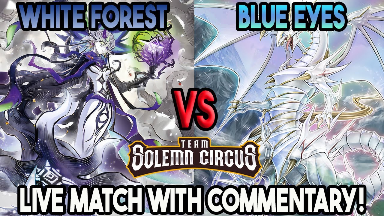 White Forest Vs Blue-Eyes Yu-Gi-Oh! Locals Feature Match | Live Duel