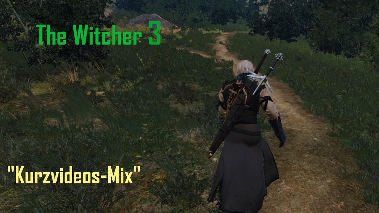 The Witcher 3 Kurzvideo / Kampf Erdgenius - B&auml;renschwert
