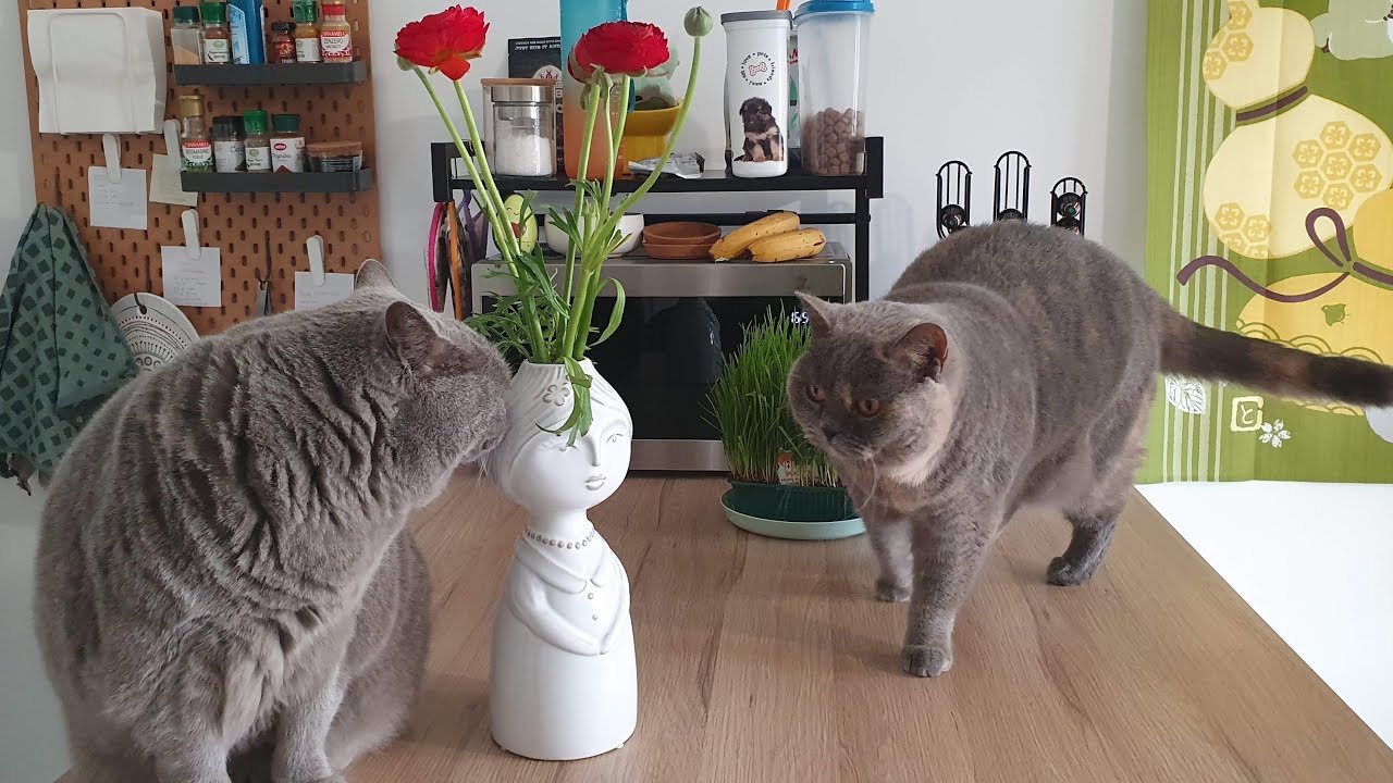 Voglia di primavera, un weekend sereno di pioggia