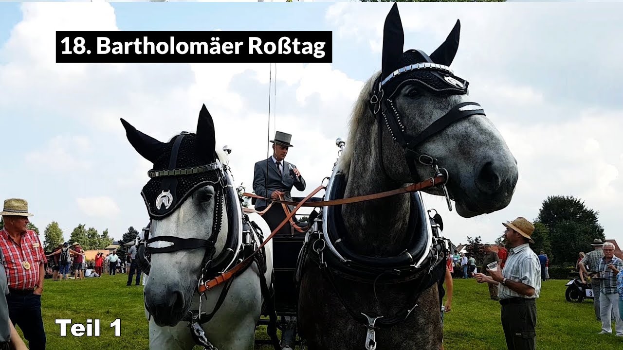 18. Bartholomäer Roßtag am 25.8.2019
